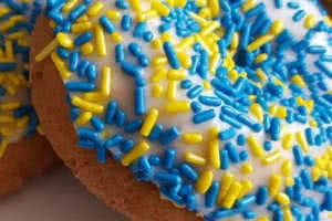 Vanilla Glaze Sprinkles Donut