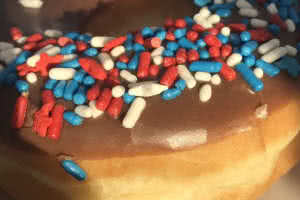 Chocolate Sprinkle Donut